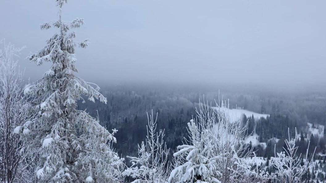    Фото: Фото: © Elena Mayorova/Globallookpress