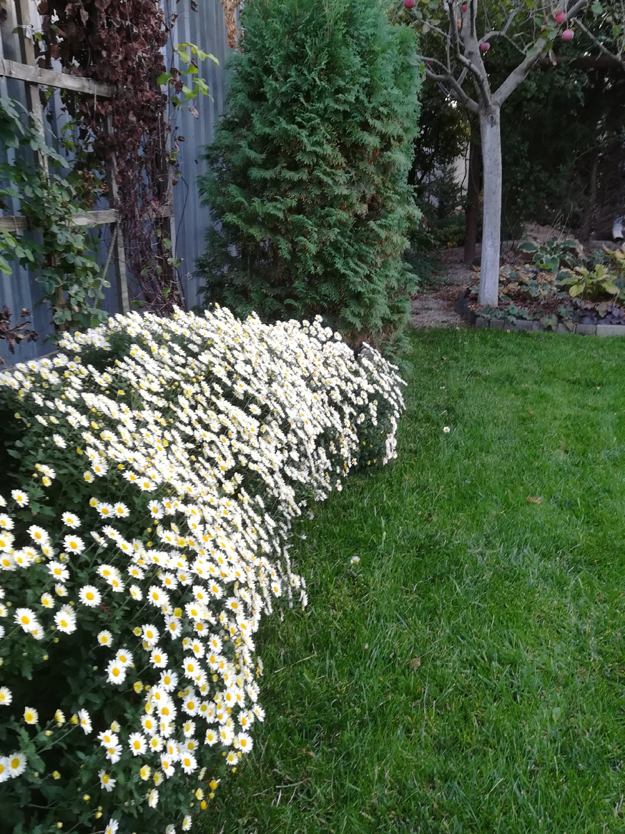 А подойди с другой стороны! Да со всех хороша. 