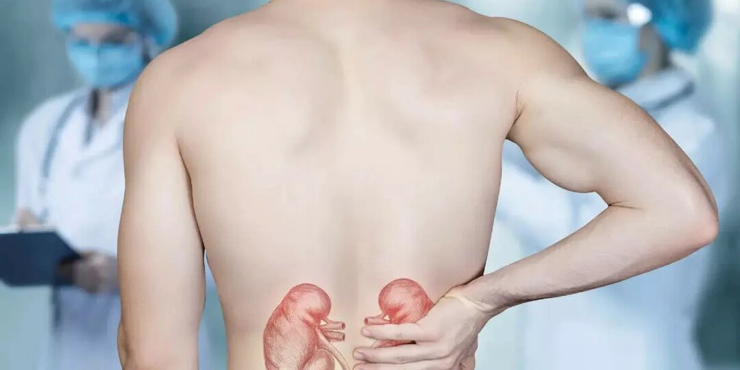 Как болят почки: сигнал, который нельзя игнорировать