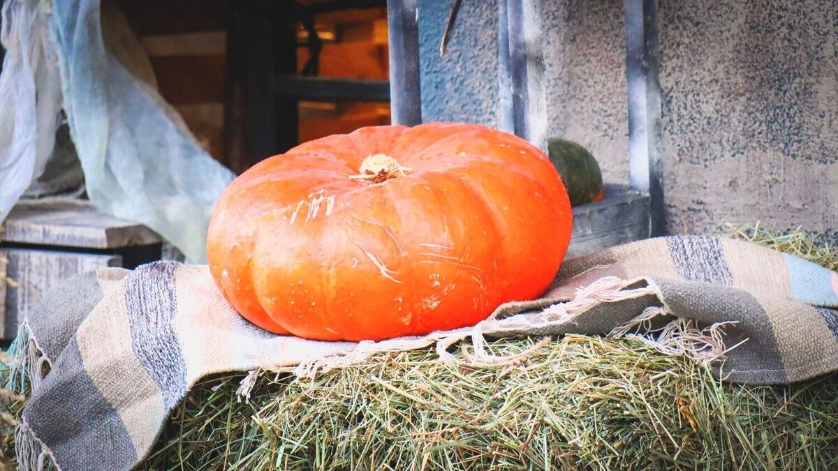     Источник: 1MI