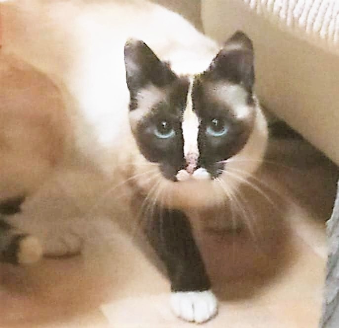 Фото из архива автора.