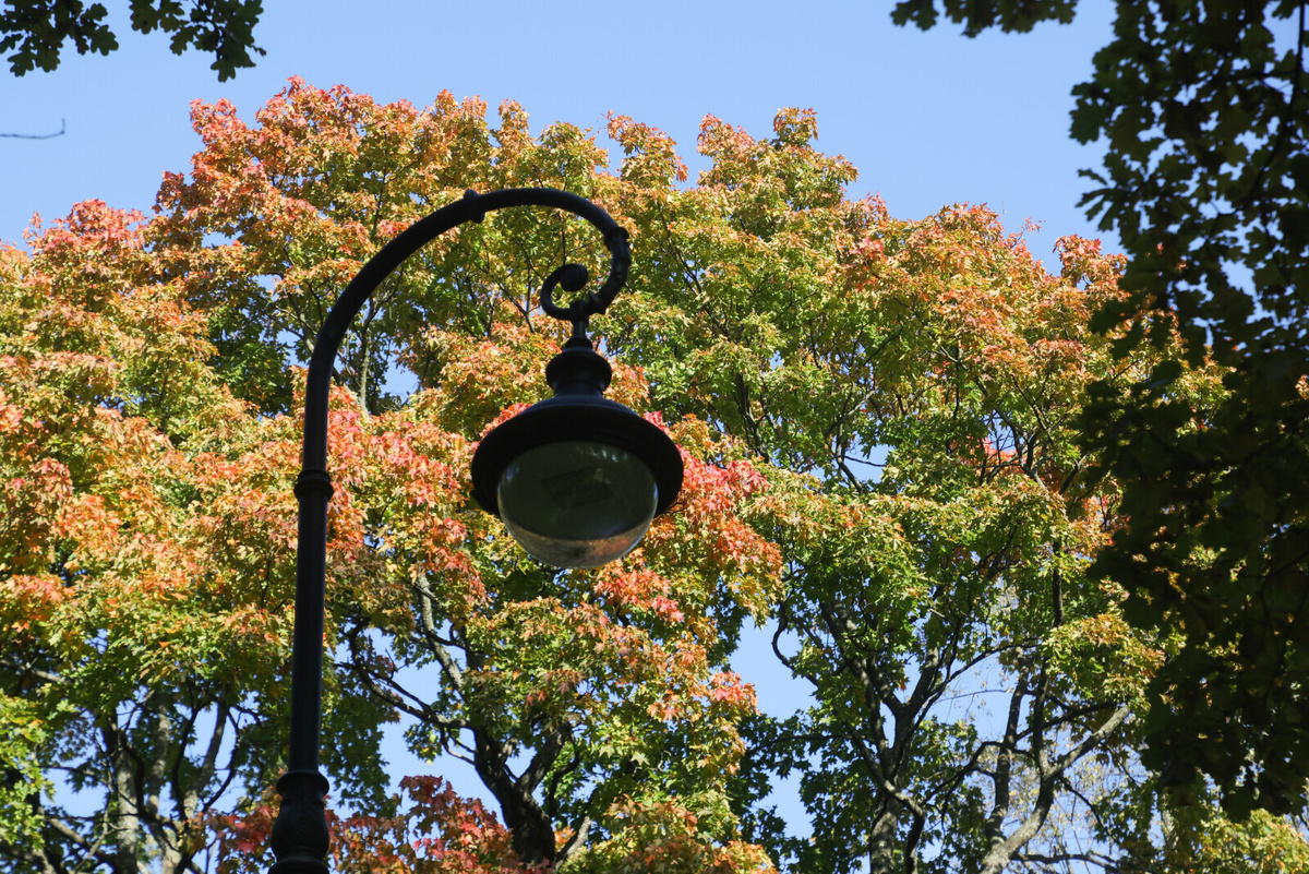 Фото: Александр Глуз / «Петербургский дневник»
