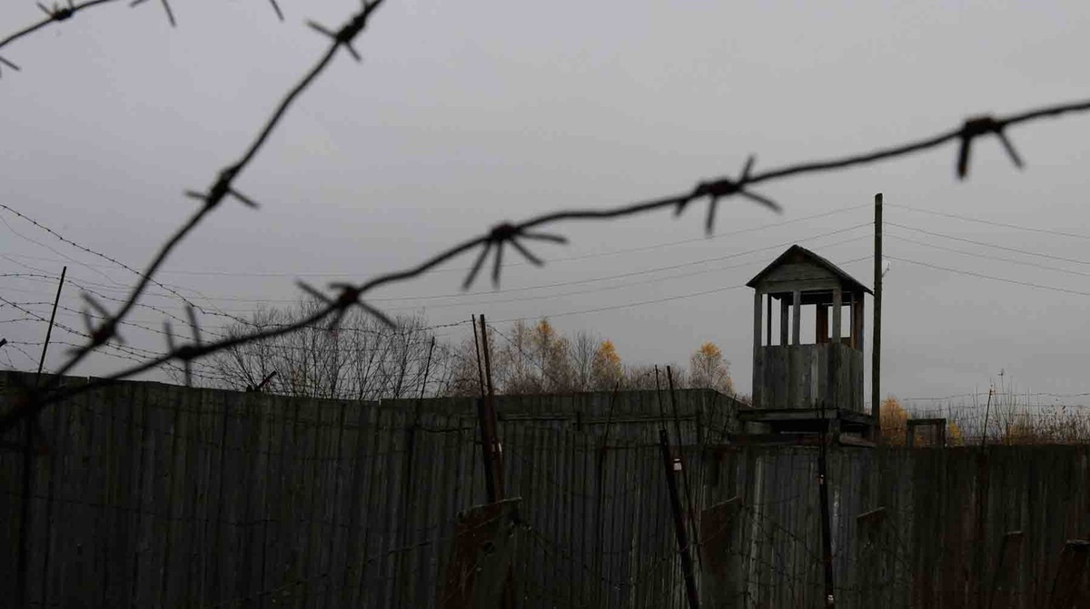    Фото: Global Look Press / Дмитрий Часовитин