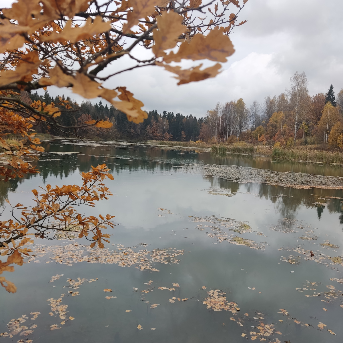 Осень в Абрамцево