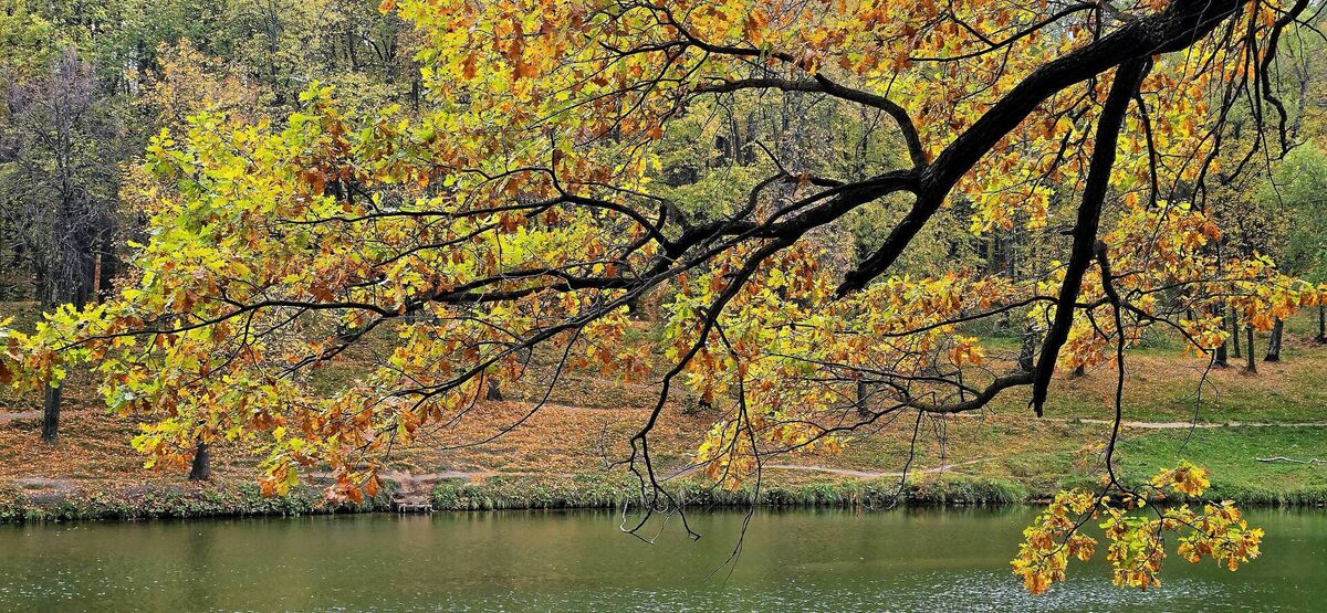 Фото: © Султан Исхаков / «Татар-информ»