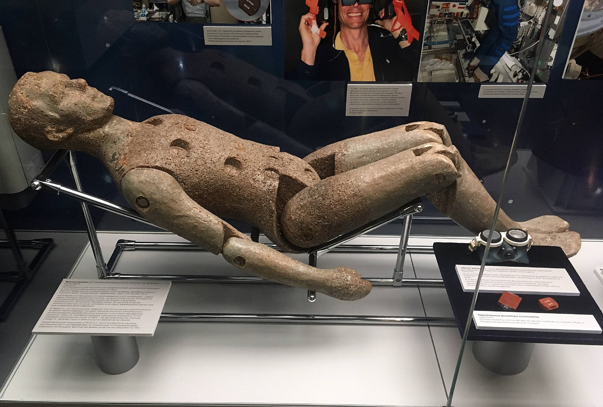 Тканеэквивалентный фантом-манекен ФМ-1. Использовался в качестве «контрольной группы» на Земле для сравнения с фантомом, полетевшим к Луне в 1969 году. Фото — Музей космонавтики в Москве.