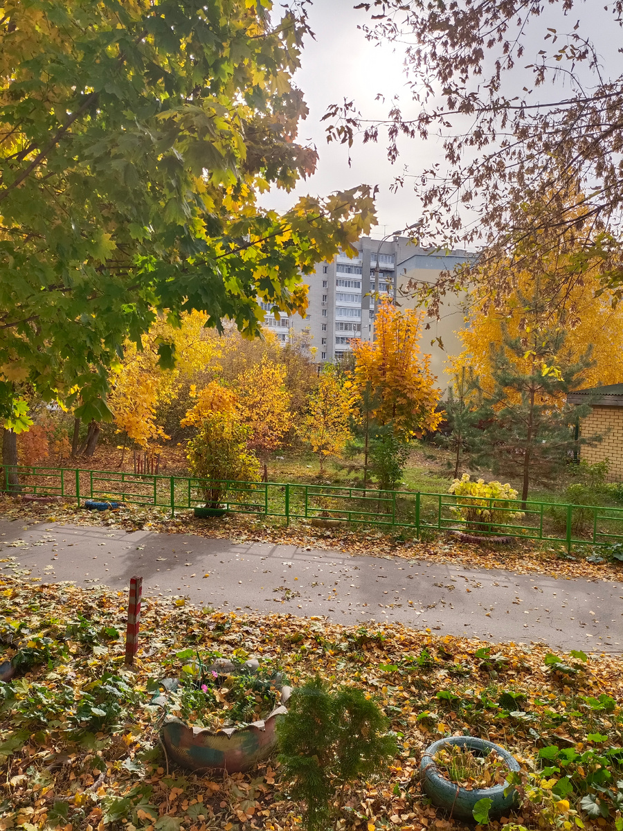 Фото автора