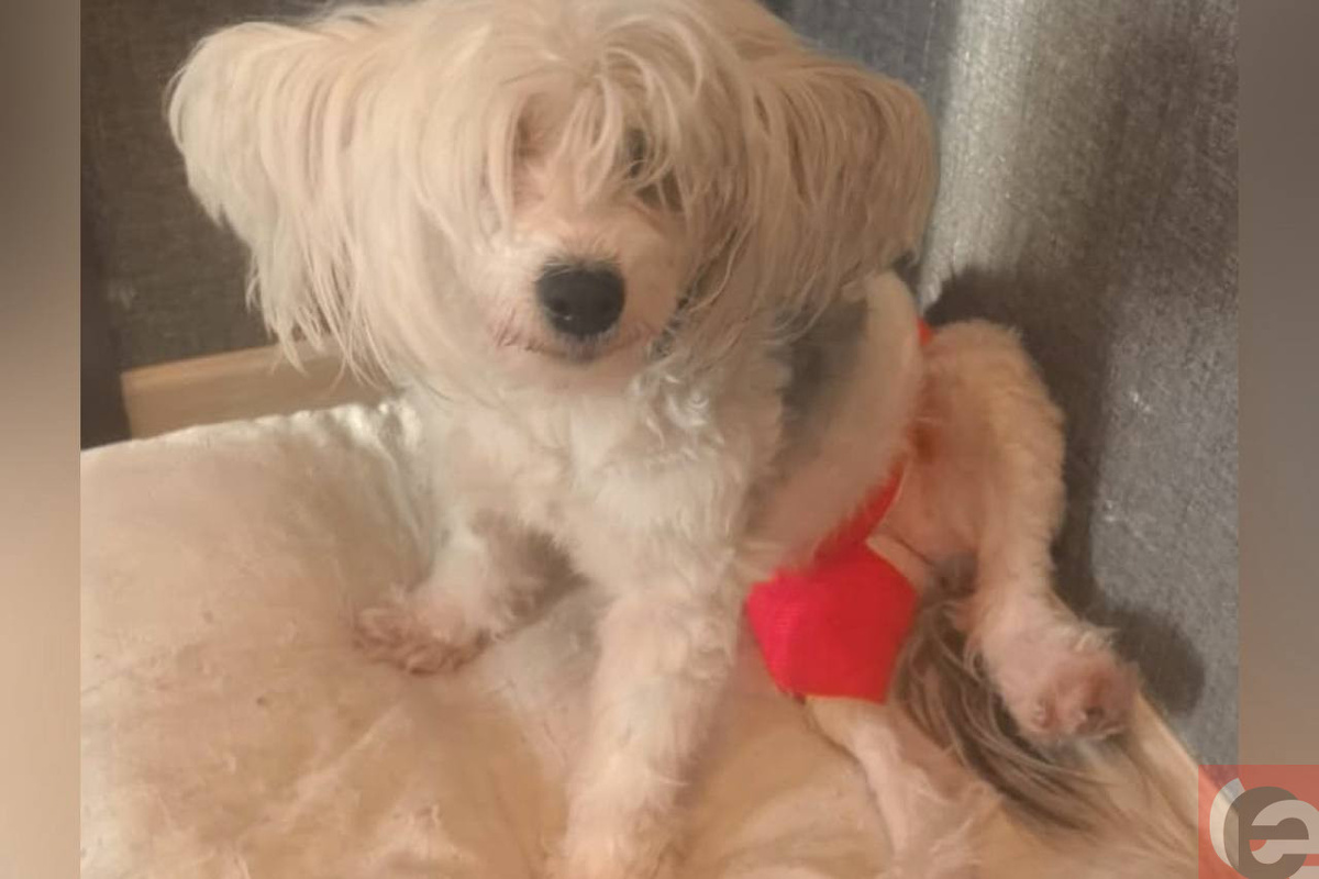    Фото: читатель "Прецедента"