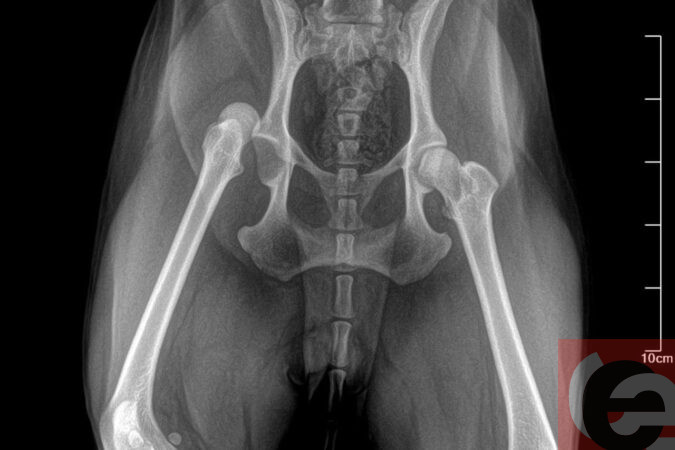    Фото: читатель "Прецедента"