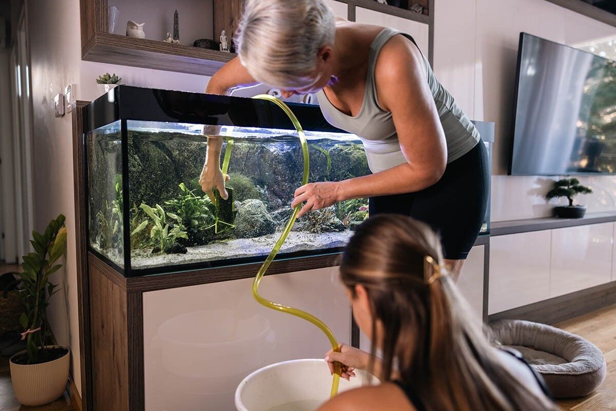 Парадокс, но за большим аквариумом проще ухаживать, чем за маленьким. Источник: MilanMarkovic78 / Shutterstock / FOTODOM📷
