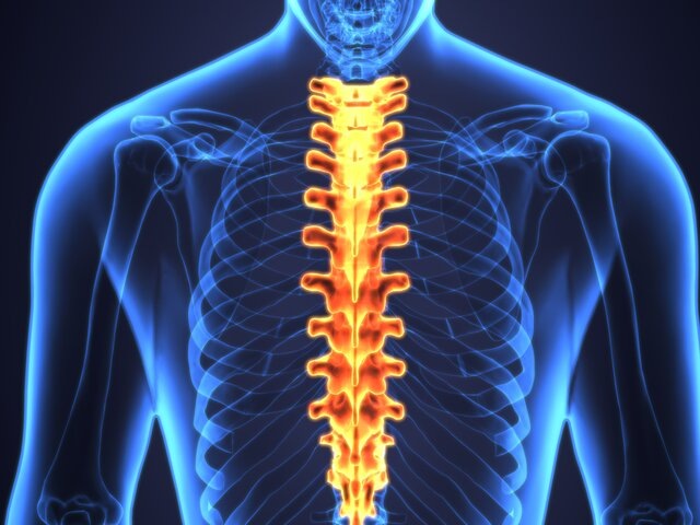    Фото: 123RF/paihub