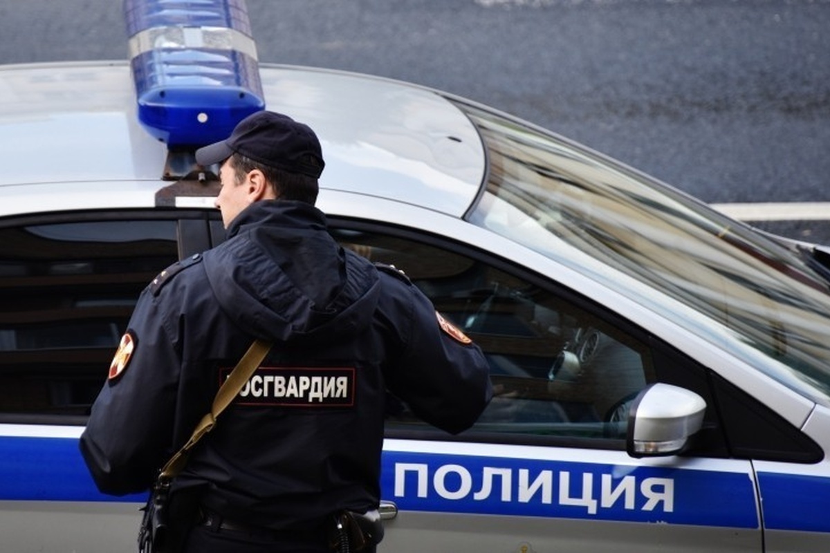    Фото: Наталья Селиверстова, источник: ria.ru