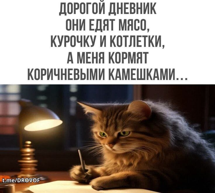 Пишу жалобу на Таню!