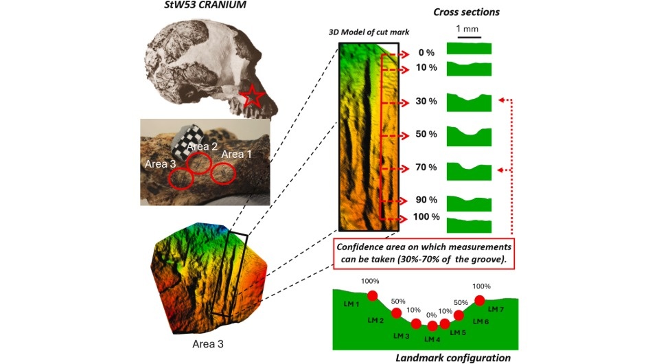   Mari Carmen Arriaza et al. / Journal of Archaeological Science, 2025