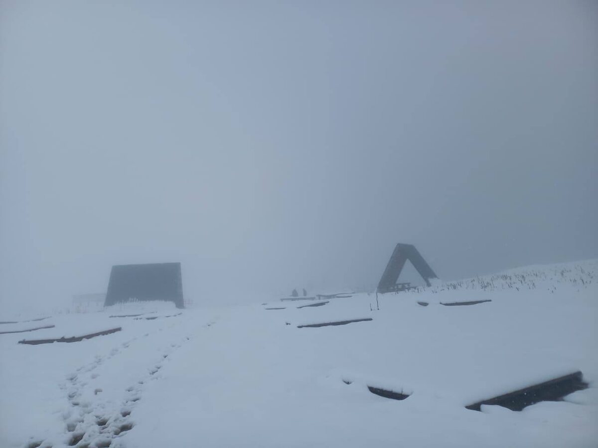    Фото: пресс-служба Кавказского заповедника