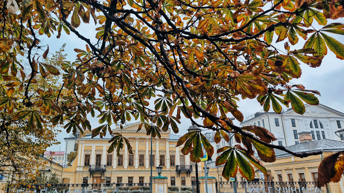 Фото: Библиотека-читальня имени А.С. Пушкина | Лиза Круглова
