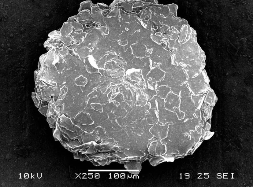 Перхоть под микроскопом