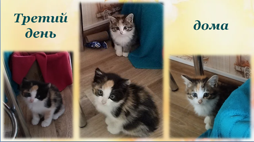 Мы немного подросли. 