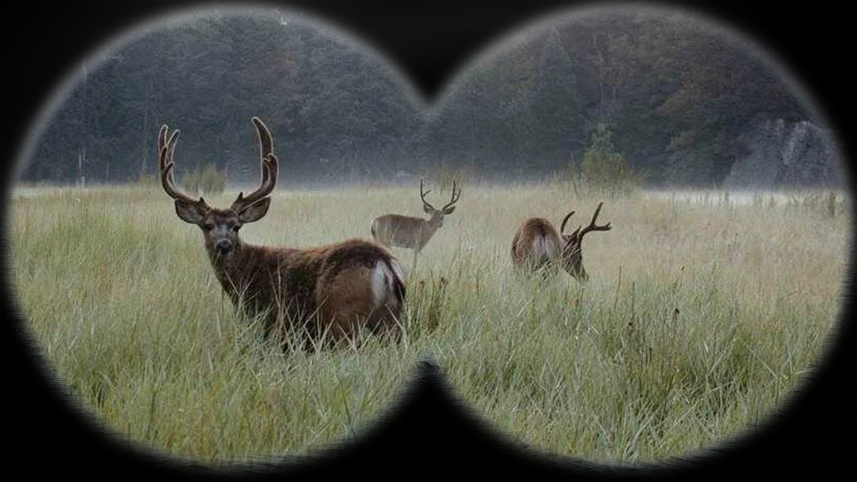 Фото: коллаж Российский Союз Инженеров