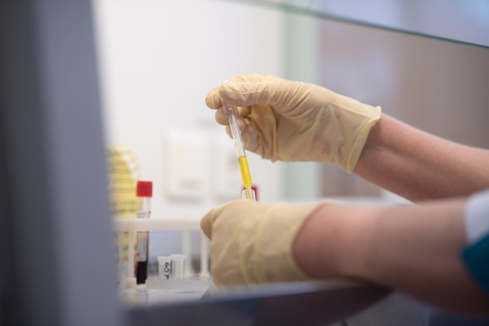    Новосибирские ученые создали катализатор из глины для очистки нефтепродуктов Алексей БУЛАТОВ