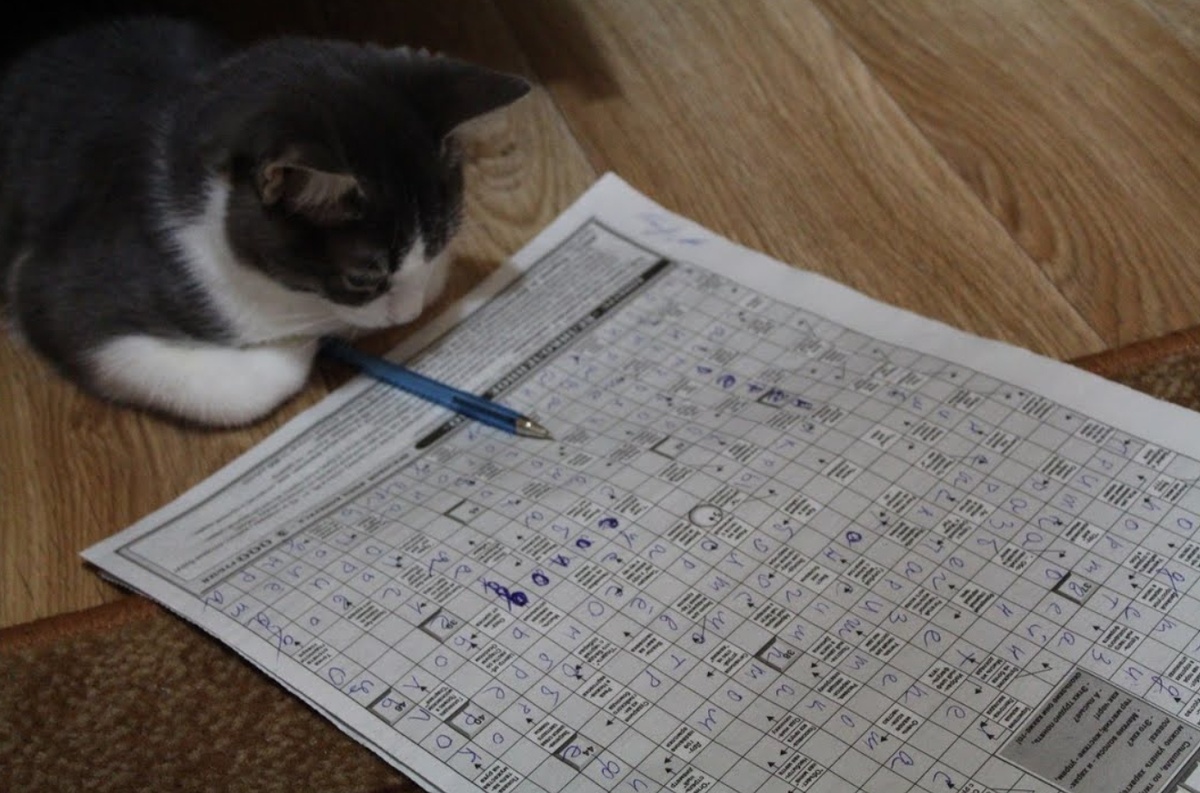    Кроссворды не сделают вас гением, но мозг точно станет более «гибким»