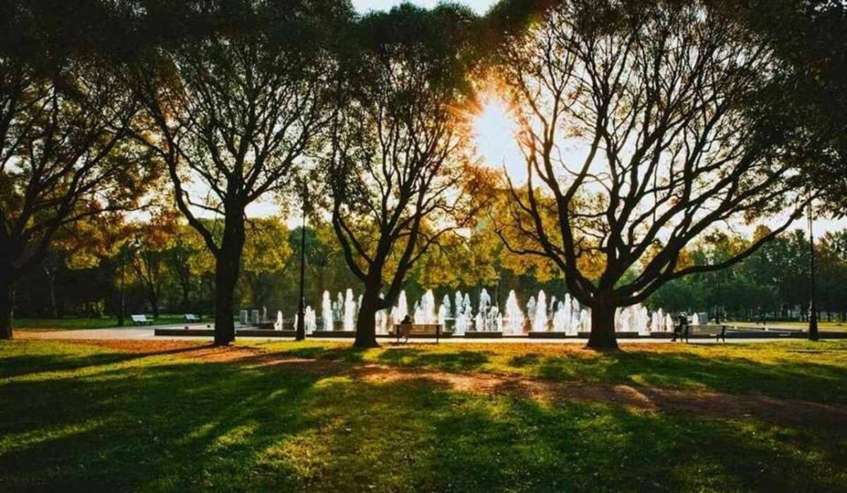     Фонтан. Источник: spb.kp.ru Автор фото: Пресс-служба Смольного