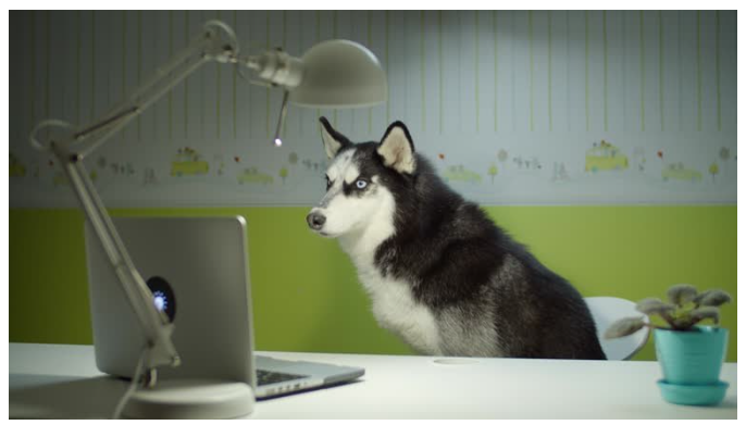 Когда написал “ок” в чат, а через 5 минут — 83 новых сообщения