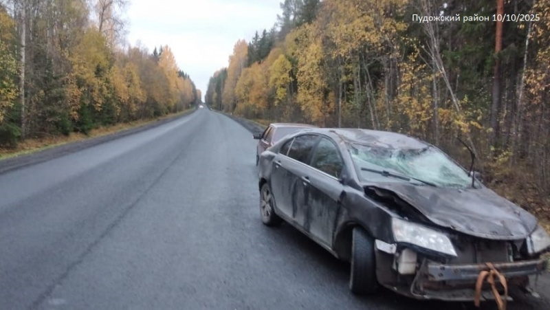    Иномарка перевернулась на трассе в Карелии, пострадали детиГАИ Карелии