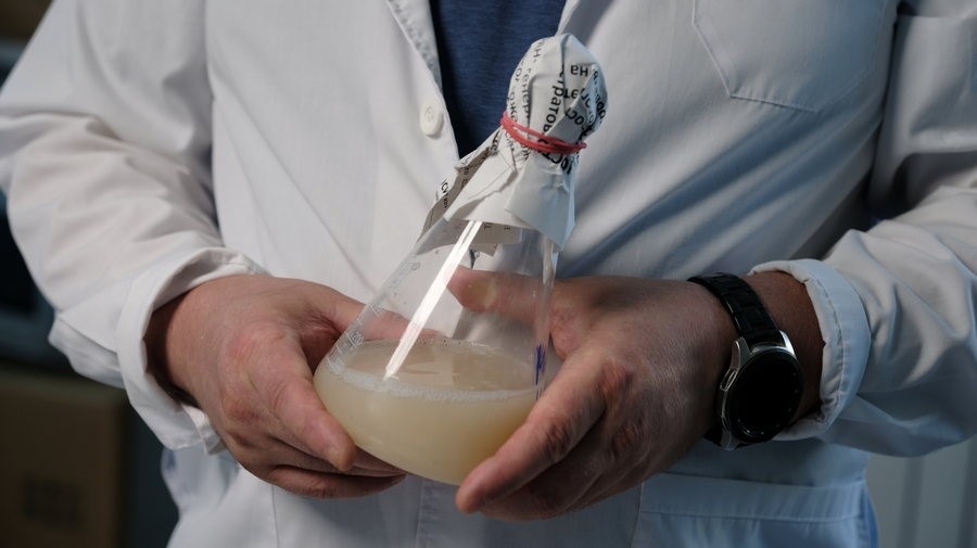 Жир отходов скумбрии и копчёной кильки
