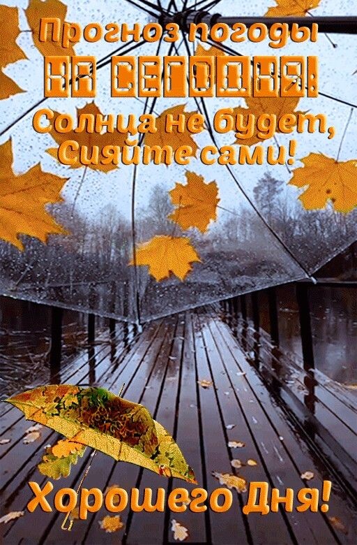 Из интернета для хорошего настроения 💖 