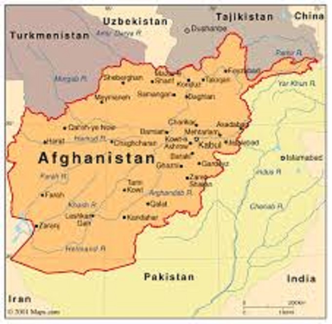 Фото: взято из открытых источников 