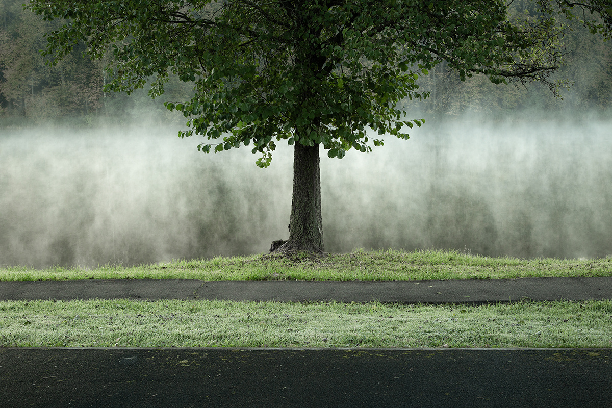 фото: Анна Давидян