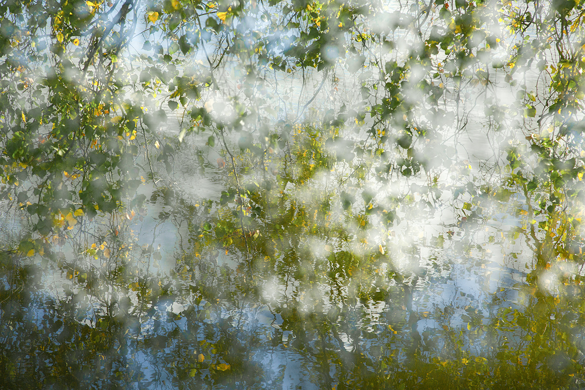 фото: Анна Давидян