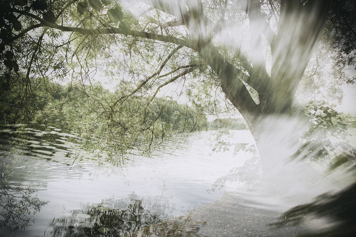 фото: Анна Давидян