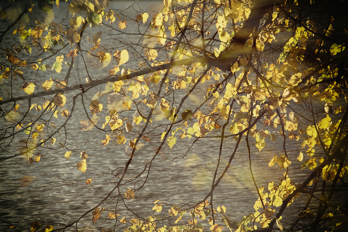 фото: Анна Давидян