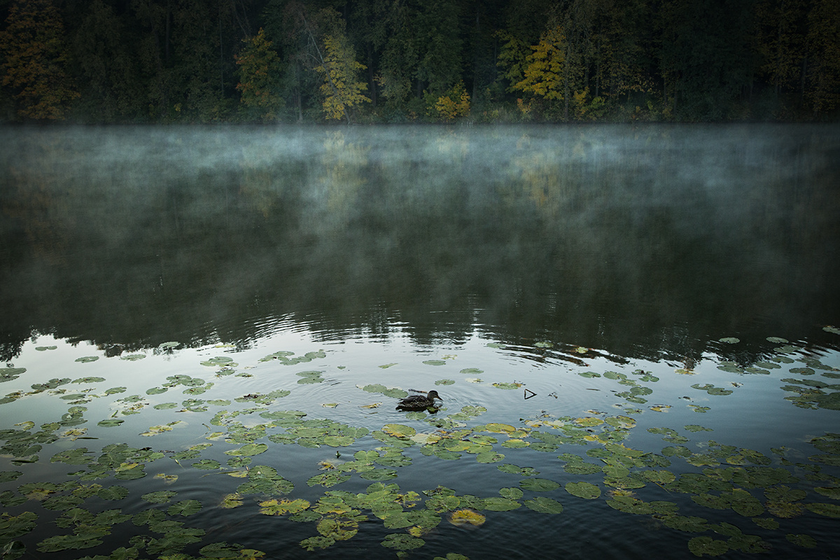 фото: Анна Давидян
