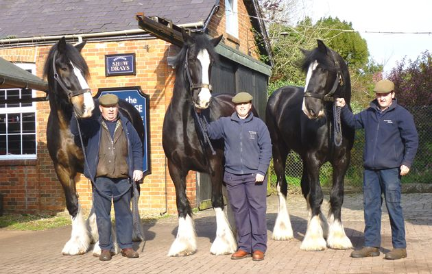 Интересно, кто кого выгуливает? 