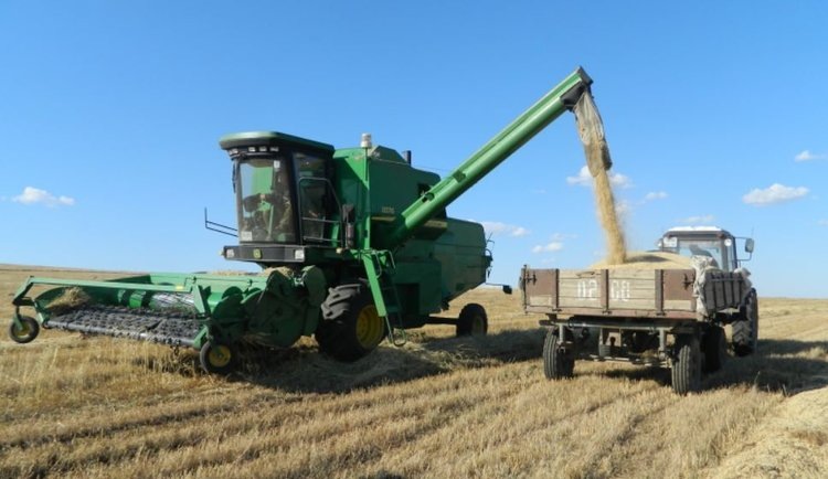    Фото: Минсельхоз Забайкальского края