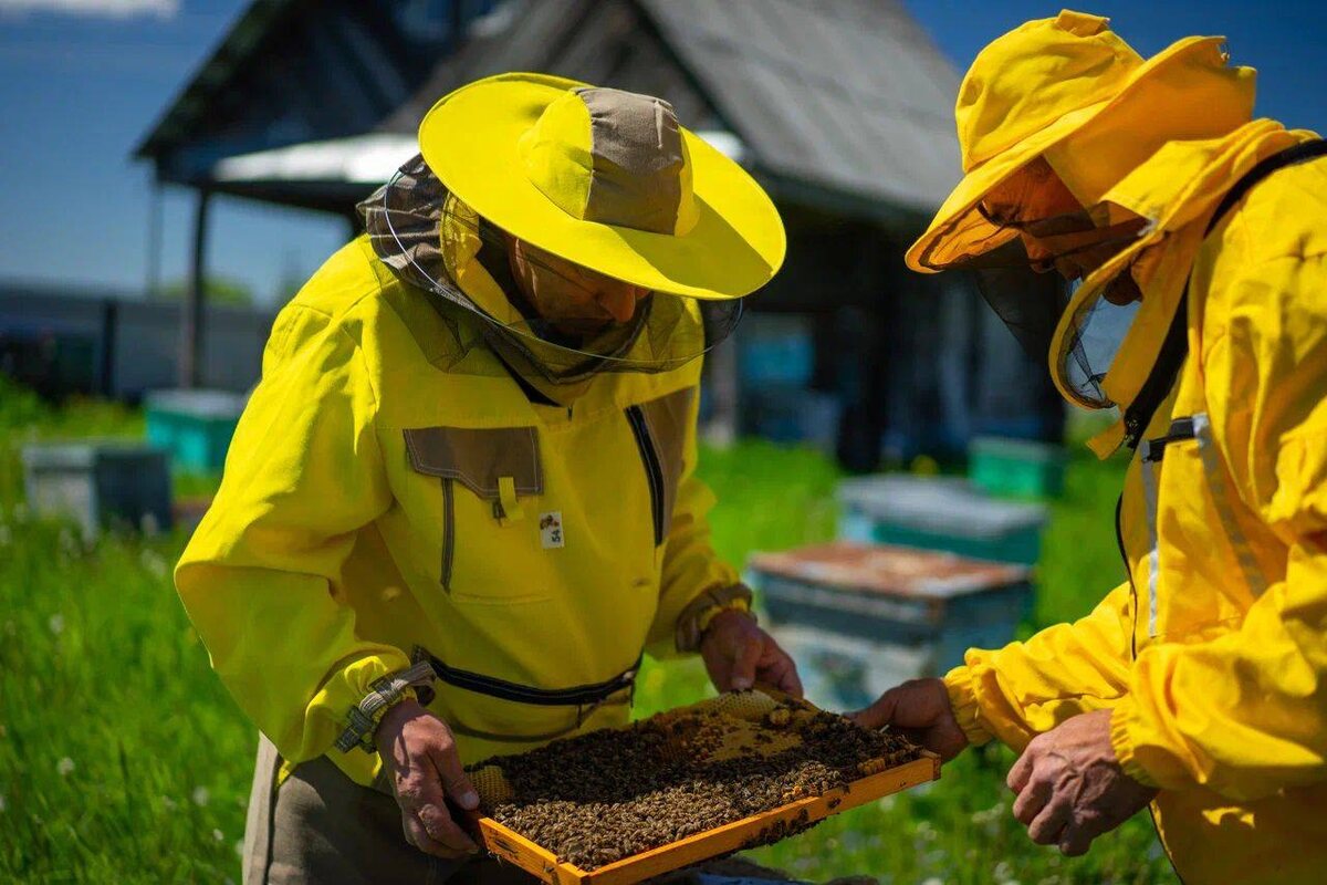    Радий Хабиров поздравил аграриев Башкортостана с Днем работника сельского хозяйства