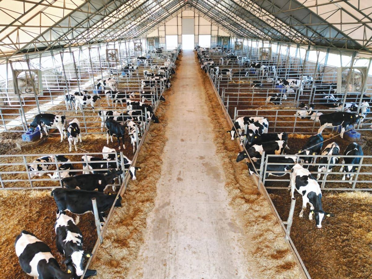    Радий Хабиров поздравил аграриев Башкортостана с Днем работника сельского хозяйства