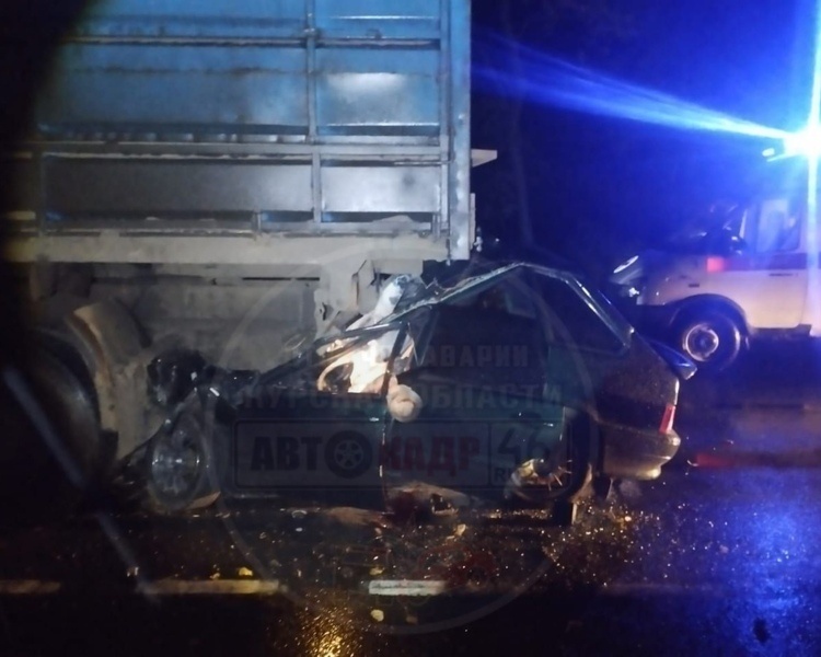     Два человека погибли в ДТП на трассе «Фатеж — Дмитриев»