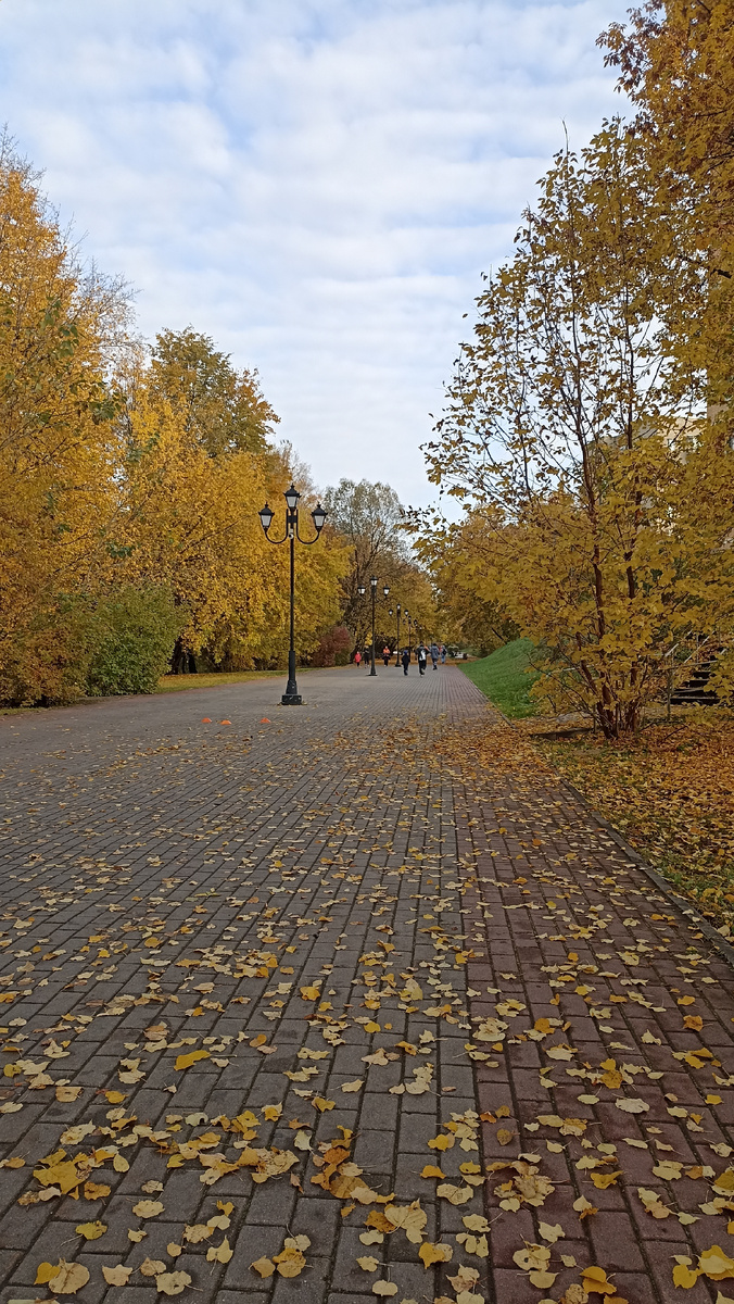 Главная аллея в парке "Заречье"