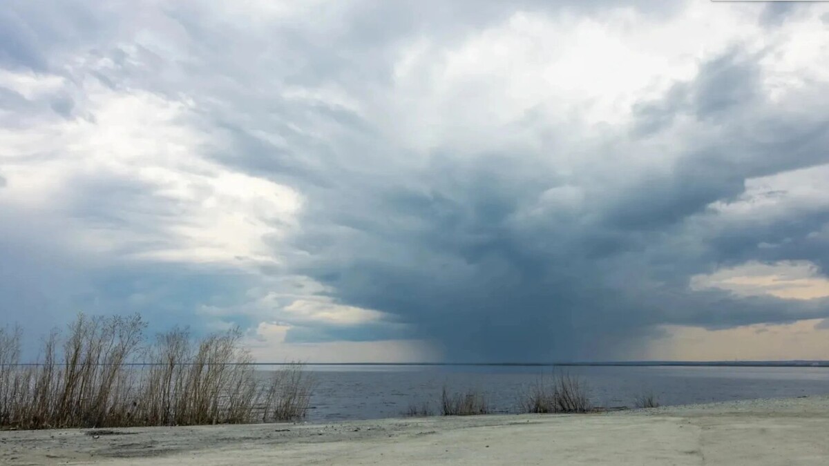    Фото: Фёдор Воронов / «Ямал-Медиа»