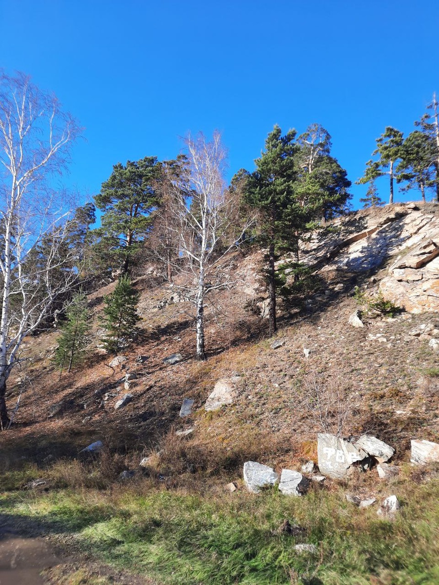 Фото автора.