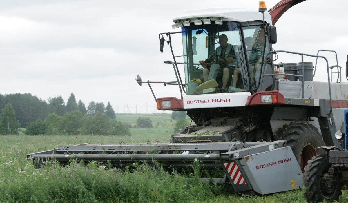     Уборочная кампания на АО "Птицефабрика Чайковская". Источник: dixinews.ru Автор фото: Никита Белых