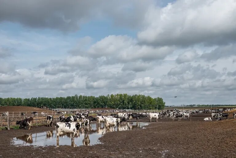 Валерий Нистратов для Forbes