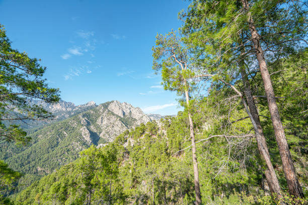 Gündüz Otel | Отель в Турции | istockphoto.com