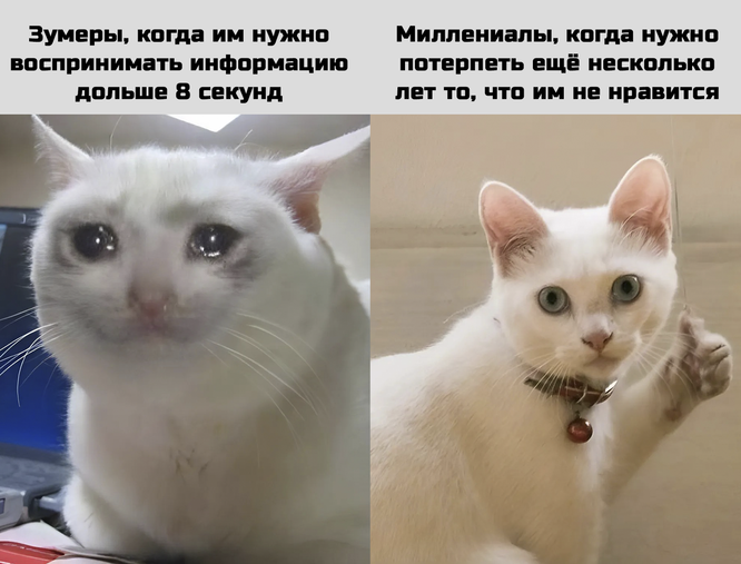 Фото с сайта www.mentoday.ru