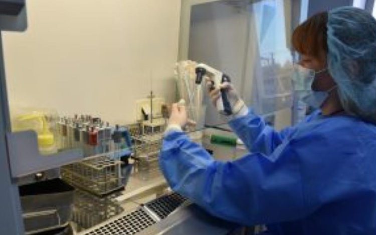    Фото: Россельхознадзор РФ