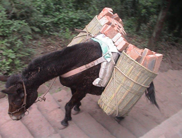 Психика психически уязвимого человека